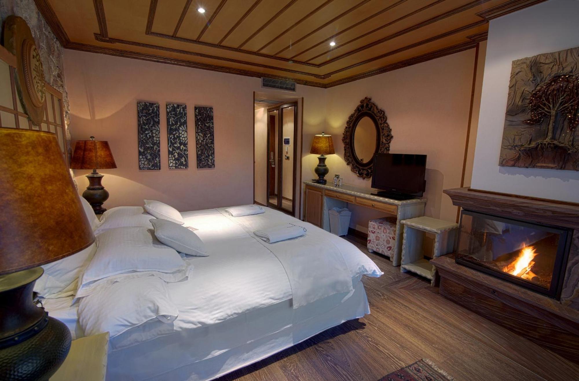 Aroma Dryos Spa & Eco Hotel ميتسوفو المظهر الخارجي الصورة