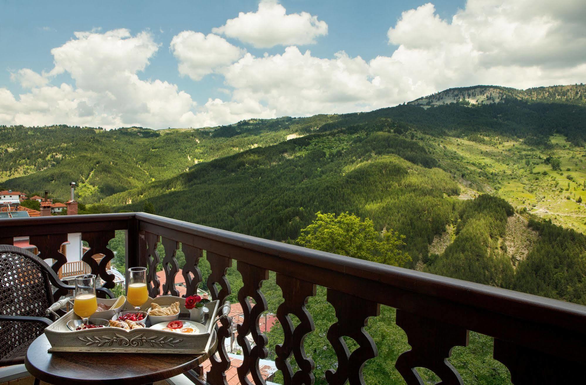Aroma Dryos Spa & Eco Hotel ميتسوفو المظهر الخارجي الصورة